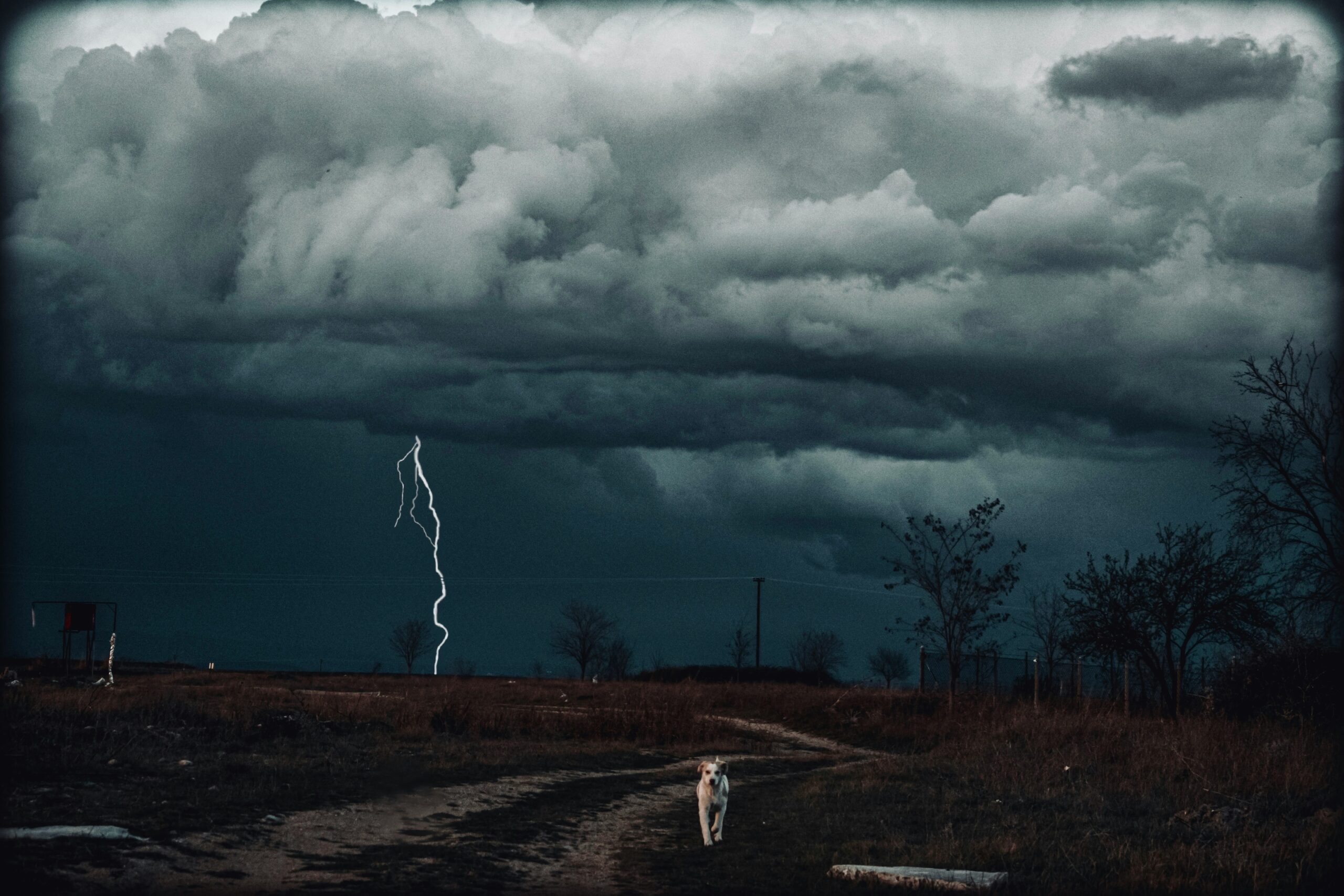 perimenopause, graves, thyroid, stress, burnout